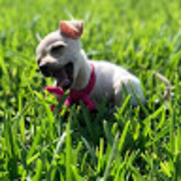 Meet your Posher, Daniela - Picture 1 of 1